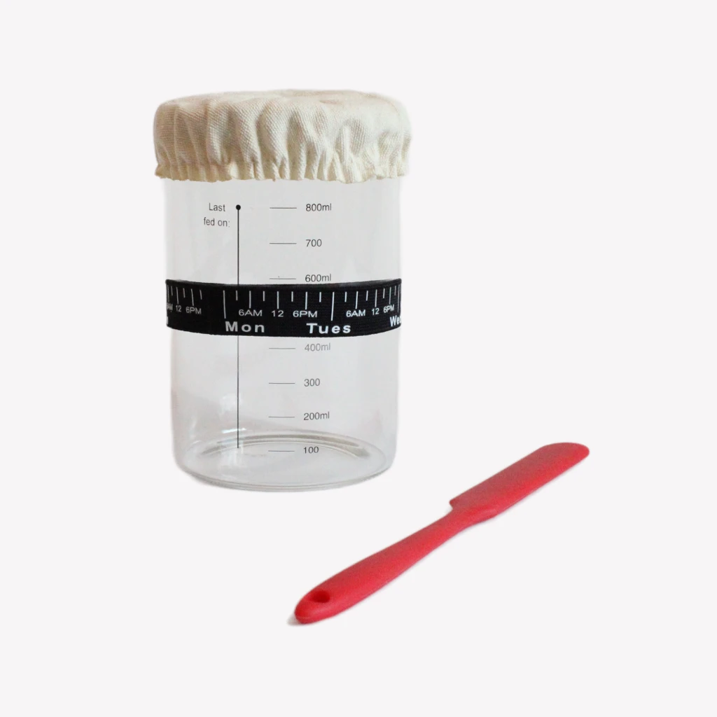 Startkit surdeg 3 Startkit för surdeg. Kitet innehåller en bred glasburk med trälock för surdegstarter med tydliga måttangivelser, ett elastiskt tygöverdrag på toppen och en svart rund remsa runt burken markerad med tider och dagar för att hålla koll på surdegens matningar. En röd slickepott i silikon ligger bredvid burken. Bakgrunden är vit.